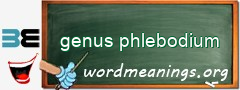 WordMeaning blackboard for genus phlebodium